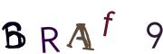 CAPTCHA visuel