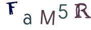 CAPTCHA visuel