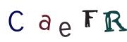 CAPTCHA visuel