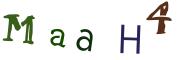 CAPTCHA visuel