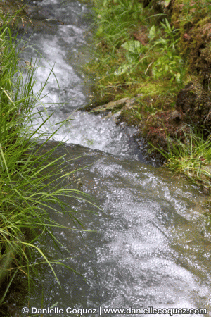 Le BISSE en ETE