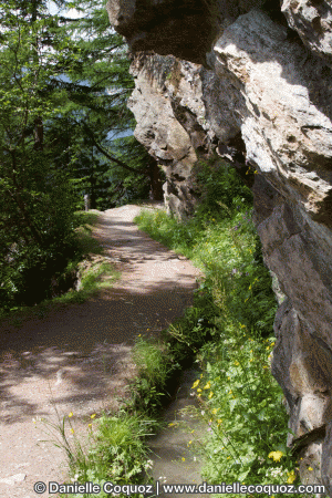 Le BISSE en ETE