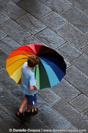 Les parapluies d'Arezzo