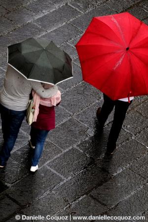 Les parapluies d'Arezzo