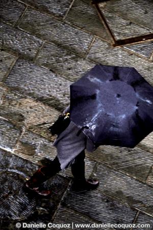 Les parapluies d'Arezzo