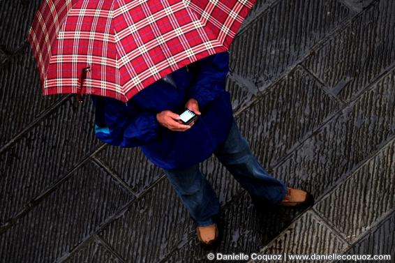 Les parapluies d'Arezzo