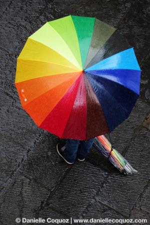 Les parapluies d'Arezzo