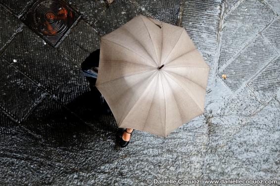 Les parapluies d'Arezzo