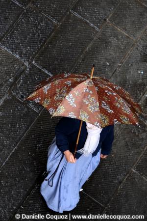 Les parapluies d'Arezzo