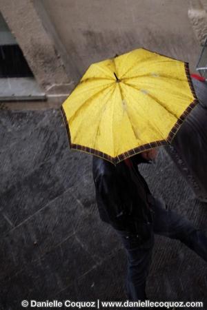 Les parapluies d'Arezzo