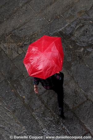 Les parapluies d'Arezzo