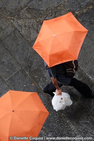 Les parapluies d'Arezzo