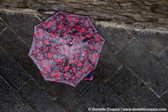 Les parapluies d'Arezzo