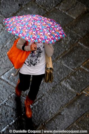 Les parapluies d'Arezzo