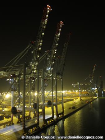 PAR UNE NUIT DE BRUME