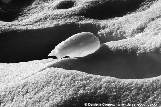 Il a neigé sur la lune ?