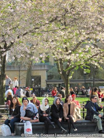 SPRING IN NEW-YORK