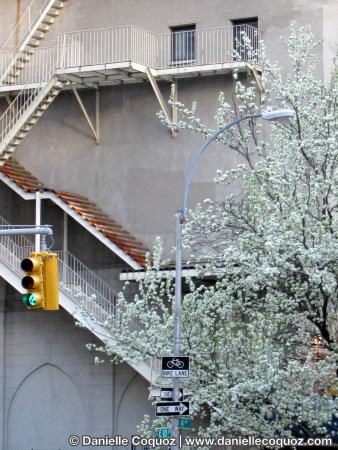 SPRING IN NEW-YORK
