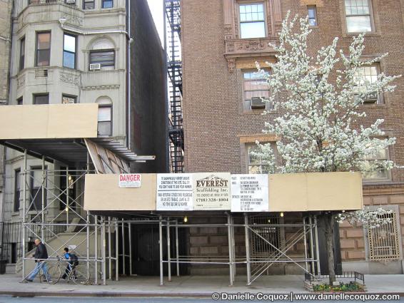 SPRING IN NEW-YORK