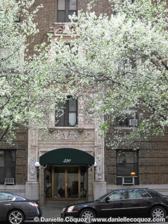 SPRING IN NEW-YORK