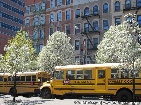 SPRING IN NEW-YORK