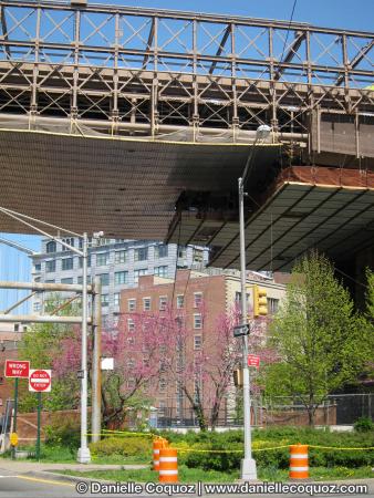 SPRING IN NEW-YORK