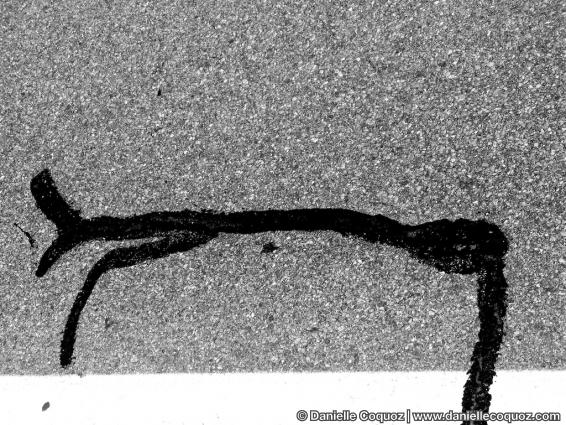 Signes sur routes