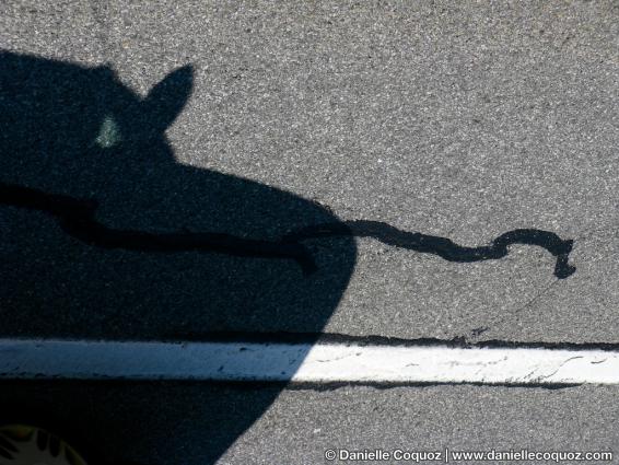Signes sur routes