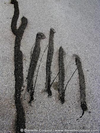 Signes sur routes