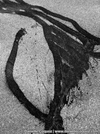 Signes sur routes