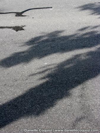 Signes sur routes