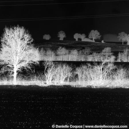 Paysage en train grande vitesse